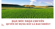 Hạn mức tối đa nhận chuyển quyền sử dụng đất nông nghiệp của cá nhân theo Luật đất đai 2024