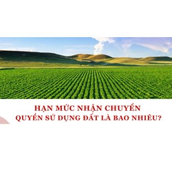 Hạn mức tối đa nhận chuyển quyền sử dụng đất nông nghiệp của cá nhân theo Luật đất đai 2024