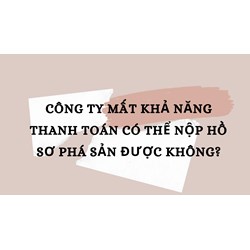 Công ty mất khả năng thanh toán có thể nộp hồ sơ phá sản được không?