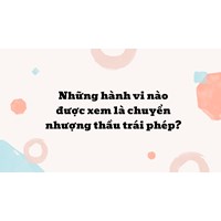 Những hành vi nào được xem là chuyển nhượng thầu trái phép?