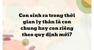 Con sinh ra trong thời gian ly thân là con chung hay con riêng theo quy định mới?