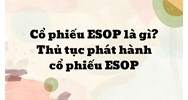 Cổ phiếu ESOP là gì? Thủ tục phát hành cổ phiếu ESOP mới