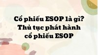 Cổ phiếu ESOP là gì? Thủ tục phát hành cổ phiếu ESOP mới