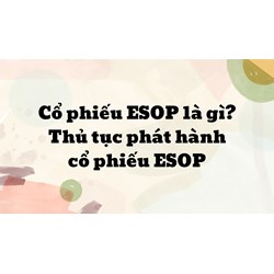 Cổ phiếu ESOP là gì? Thủ tục phát hành cổ phiếu ESOP mới