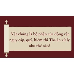 Vật chứng là bộ phận của động vật nguy cấp, quý, hiếm thì Tòa án xử lý như thế nào?