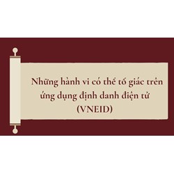 Những hành vi có thể tố giác trên ứng dụng định danh điện tử (VNEID)