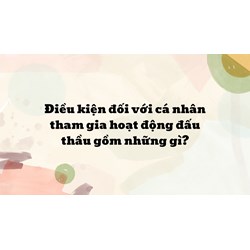 Điều kiện đối với cá nhân tham gia hoạt động đấu thầu gồm những gì?