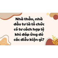 Nhà thầu, nhà đầu tư là tổ chức có tư cách hợp lệ khi đáp ứng đủ các điều kiện gì?