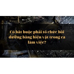 Có bắt buộc phải tổ chức bồi dưỡng bằng hiện vật trong ca làm việc?