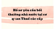 Hồ sơ yêu cầu bồi thường nhà nước tại cơ quan Thuế các cấp