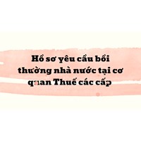Hồ sơ yêu cầu bồi thường nhà nước tại cơ quan Thuế các cấp