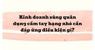 Kinh doanh súng quân dụng cầm tay hạng nhỏ cần đáp ứng điều kiện gì?