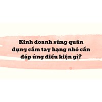Kinh doanh súng quân dụng cầm tay hạng nhỏ cần đáp ứng điều kiện gì?