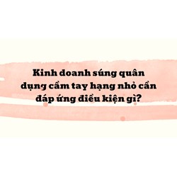Kinh doanh súng quân dụng cầm tay hạng nhỏ cần đáp ứng điều kiện gì?