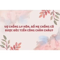 Vợ chồng ly hôn, bố mẹ chồng có được đòi tiền công chăm cháu?