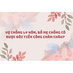 Vợ chồng ly hôn, bố mẹ chồng có được đòi tiền công chăm cháu?
