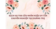 Dịch vụ tra cứu nhãn hiệu uy tín chuyên nghiệp tại Quảng Trị