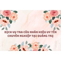 Dịch vụ tra cứu nhãn hiệu uy tín chuyên nghiệp tại Quảng Trị