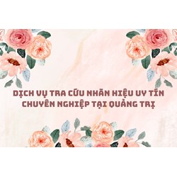 Dịch vụ tra cứu nhãn hiệu uy tín chuyên nghiệp tại Quảng Trị