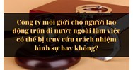 Công ty môi giới cho người lao động trốn đi nước ngoài làm việc có thể bị truy cứu trách nhiệm hình sự hay không?