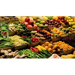 Điều kiện và thủ tục thành lập công ty kinh doanh thực phẩm sạch