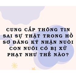 Cung cấp thông tin sai sự thật trong hồ sơ đăng ký nhận nuôi con nuôi có bị xử phạt như thế nào?