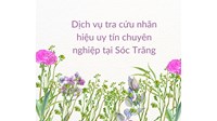Dịch vụ tra cứu nhãn hiệu uy tín chuyên nghiệp tại Sóc Trăng