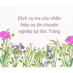 Dịch vụ tra cứu nhãn hiệu uy tín chuyên nghiệp tại Sóc Trăng