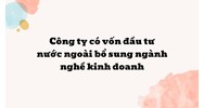 Công ty có vốn đầu tư nước ngoài bổ sung ngành nghề kinh doanh