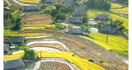 Đất giao trái thẩm quyền là gì? Các trường hợp cấp sổ đỏ cho đất giao trái thẩm quyền