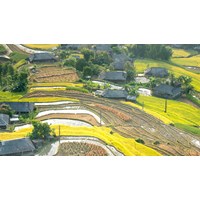 Đất giao trái thẩm quyền là gì? Các trường hợp cấp sổ đỏ cho đất giao trái thẩm quyền