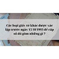 Các loại giấy tờ khác được xác lập trước ngày 15/10/1993 để cấp sổ đỏ gồm những gì?
