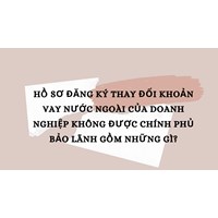 Hồ sơ đăng ký thay đổi khoản vay nước ngoài của doanh nghiệp không được Chính phủ bảo lãnh gồm những gì?