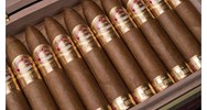 Danh mục thuốc lá điếu, xì gà nhập khẩu mới nhất