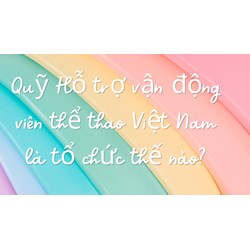 Quỹ Hỗ trợ vận động viên thể thao Việt Nam là tổ chức thế nào?