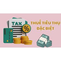 Đối tượng không chịu thuế tiêu thụ đặc biệt mới nhất