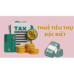 Đối tượng không chịu thuế tiêu thụ đặc biệt mới nhất