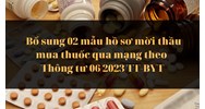 Bổ sung 02 mẫu hồ sơ mời thầu mua thuốc qua mạng theo Thông tư 06/2023/TT-BYT