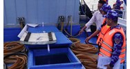 Vận chuyển trái phép 170.000 lít dầu DO có bị truy cứu hình sự?