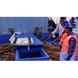 Vận chuyển trái phép 170.000 lít dầu DO có bị truy cứu hình sự?