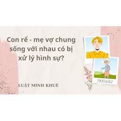 Con rể và mẹ vợ chung sống với nhau có bị xử lý hình sự?