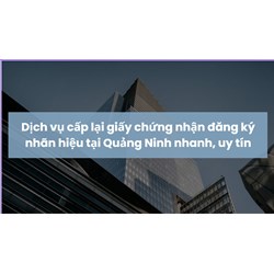 Dịch vụ cấp lại giấy chứng nhận đăng ký nhãn hiệu tại Quảng Ninh nhanh, uy tín