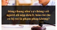 Sống chung như vợ chồng với người đã nộp đơn ly hôn rồi thì có bị coi là phạm pháp không?