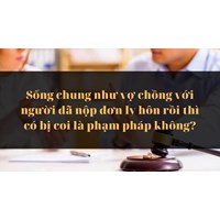 Sống chung như vợ chồng với người đã nộp đơn ly hôn rồi thì có bị coi là phạm pháp không?