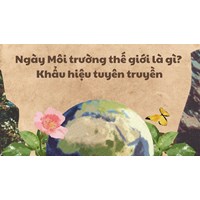 Ngày Môi trường thế giới là gì? Khẩu hiệu tuyên truyền ngày 5/6