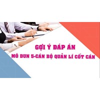 Đáp án tự luận module 5 Cán bộ quản lý (CBQL) mới nhất