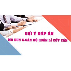 Đáp án tự luận module 5 Cán bộ quản lý (CBQL) mới nhất