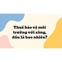 Thuế bảo vệ môi trường với xăng, dầu là bao nhiêu?