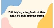 Đối tượng nào phải trả tiền dịch vụ môi trường rừng?