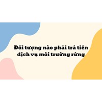 Đối tượng nào phải trả tiền dịch vụ môi trường rừng?
